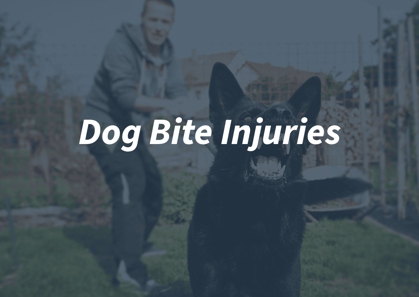 Dog Bite